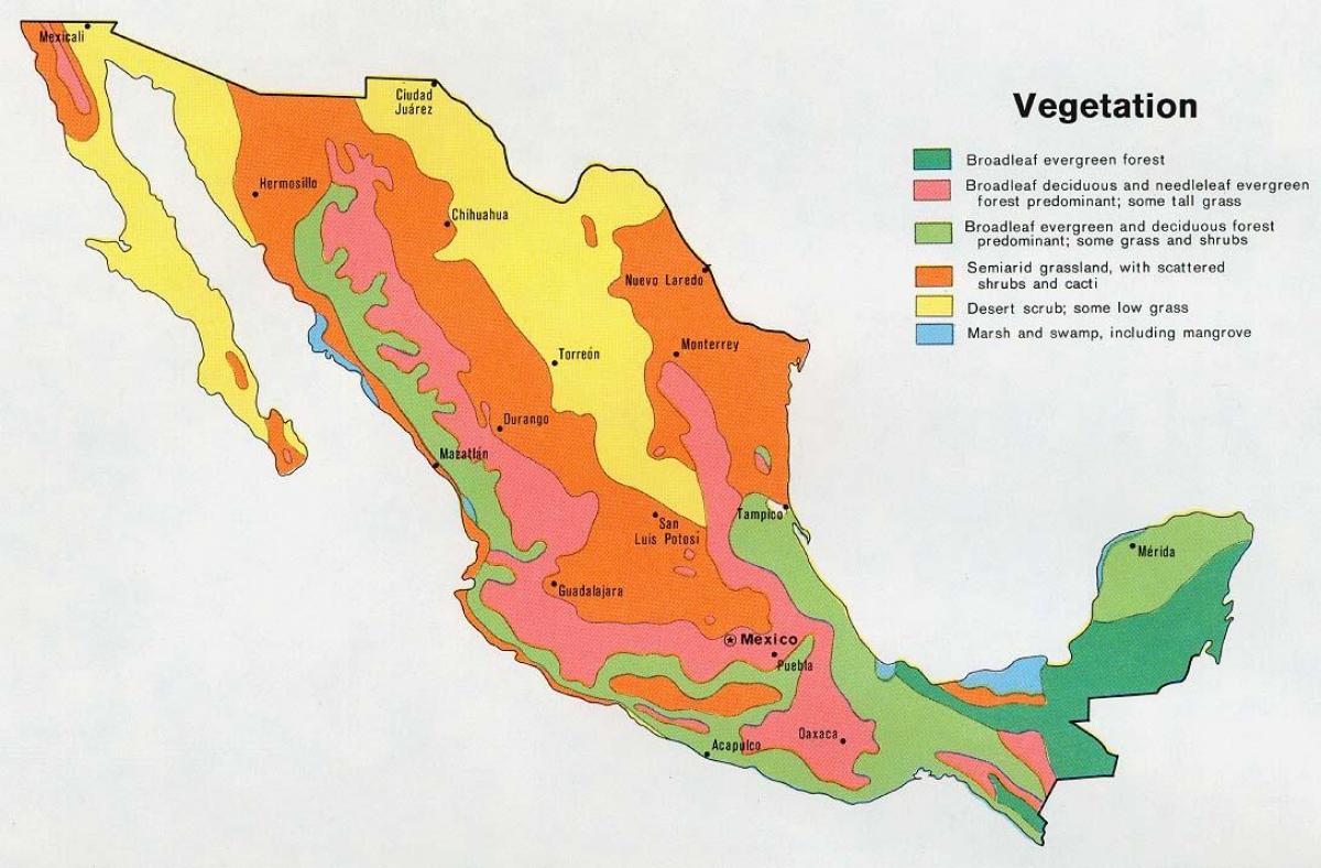 نقشہ میکسیکو کی natual ریسورسس